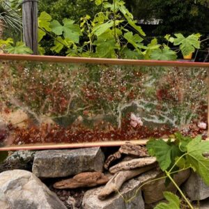 Cerisiers sous le printemps sacré